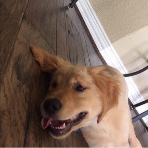 Meet your Posher, Juan